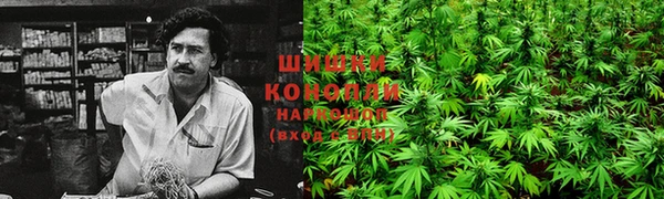 гидропоника Надым