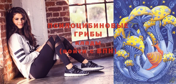 дурь Наволоки