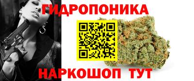 гидра Гай