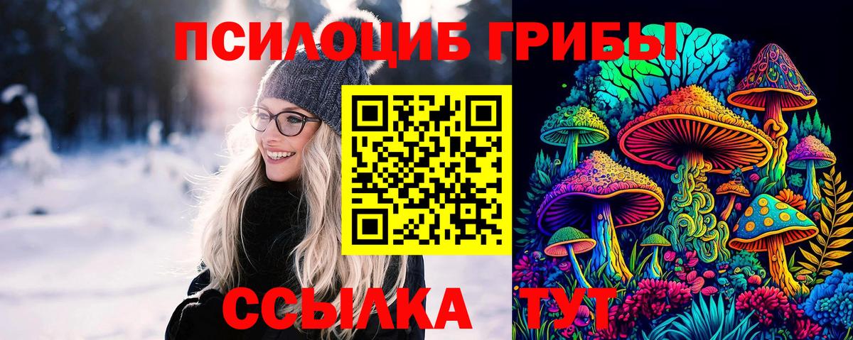 Галлюциногенные грибы Cubensis Чита