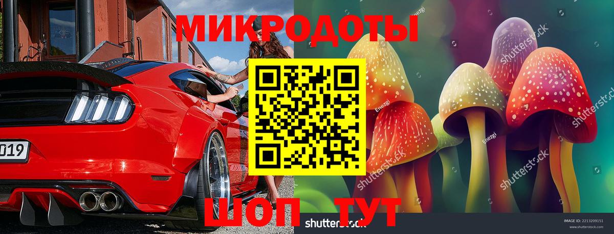 Чита  Галлюциногенные грибы GOLDEN TEACHER  Вход с VPN 