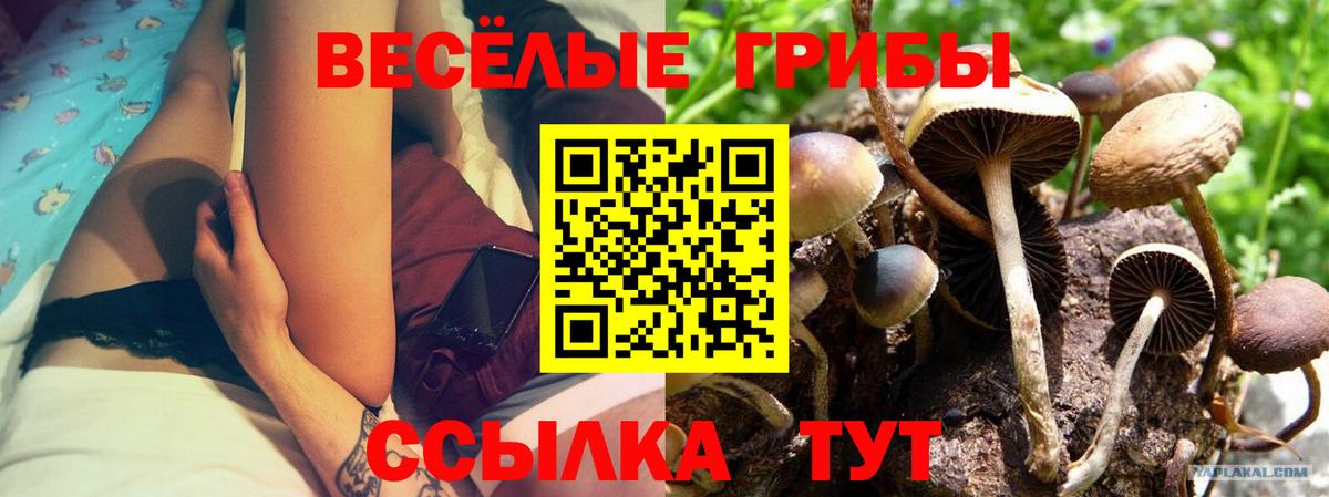 Галлюциногенные грибы мухоморы  Чита 